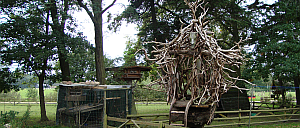 Ein Hexenhaus aus Wildholz